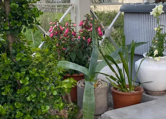 D.f. Apartment Kalambaka